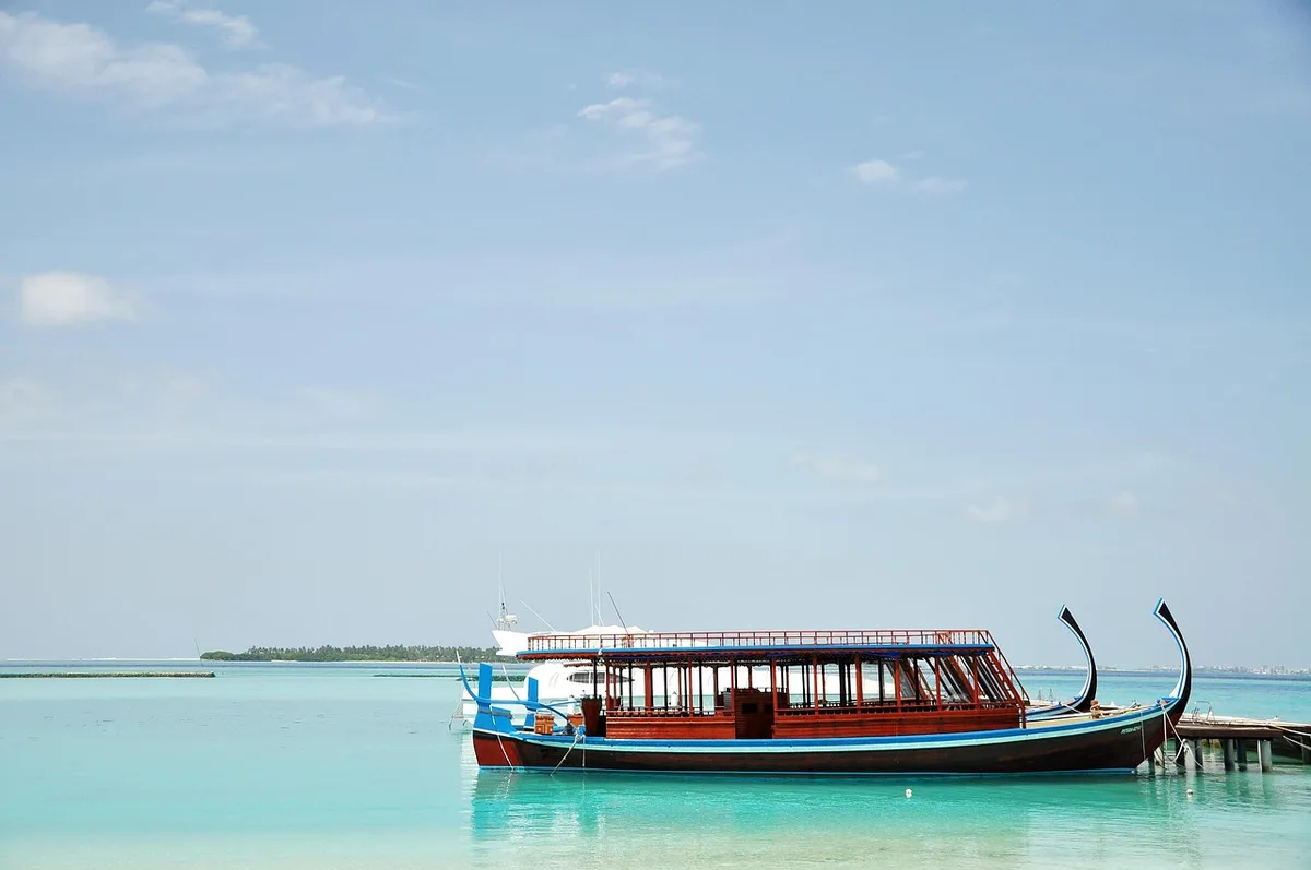 Sunset dolphin cruise